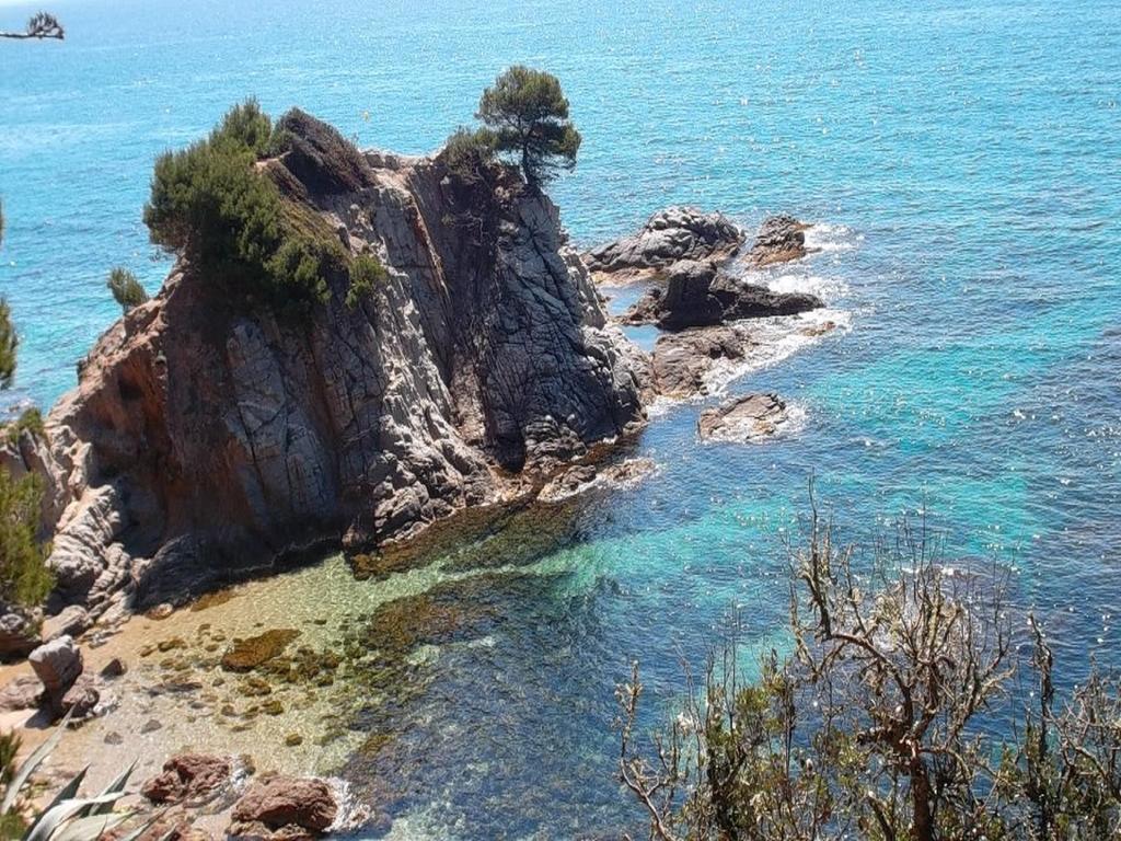 Apartamento Sol- Fanals Appartement *